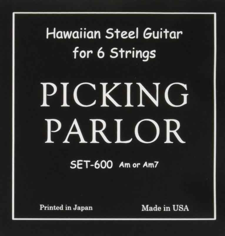 PICKING PARLOR スティールギター6弦用セット弦 Am Am7 SET600