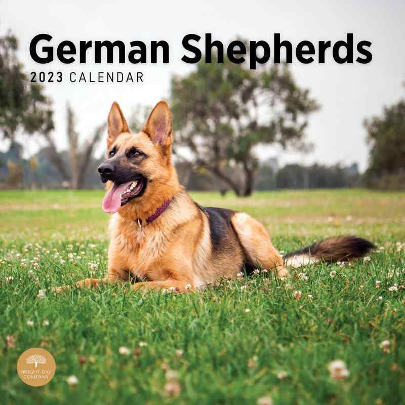 2023 German Shepherds Monthly Wall Calendar by Bright Day, 12 x 12 Inch, Cute Dog Puppy