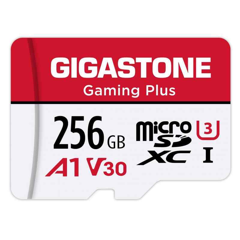 MSD-2-Group 7 (256GB A1 V30 Gaming Plus)